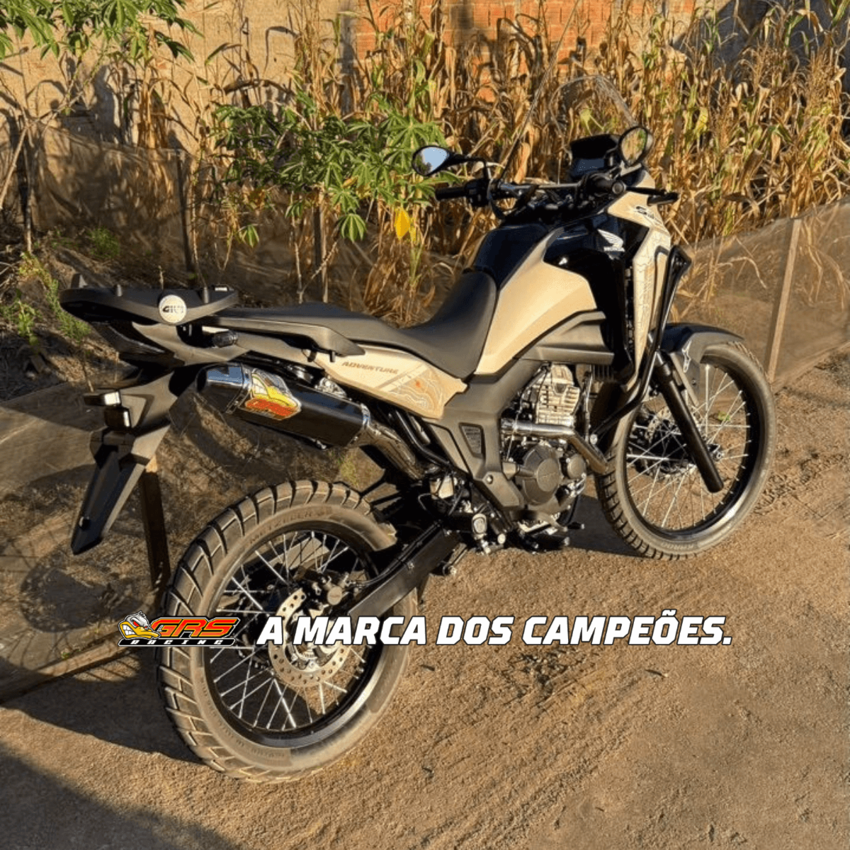 image_cd21e768-cf4e-4a51-a82a-6e5056a6aa8b